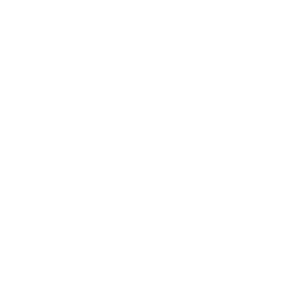 14 de la rosa logo
